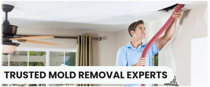 Air Duct Mold Removal in Suwanee GA
