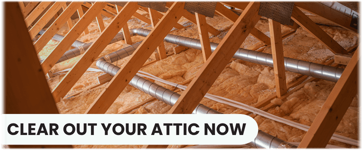 Attic Cleaning Suwanee GA